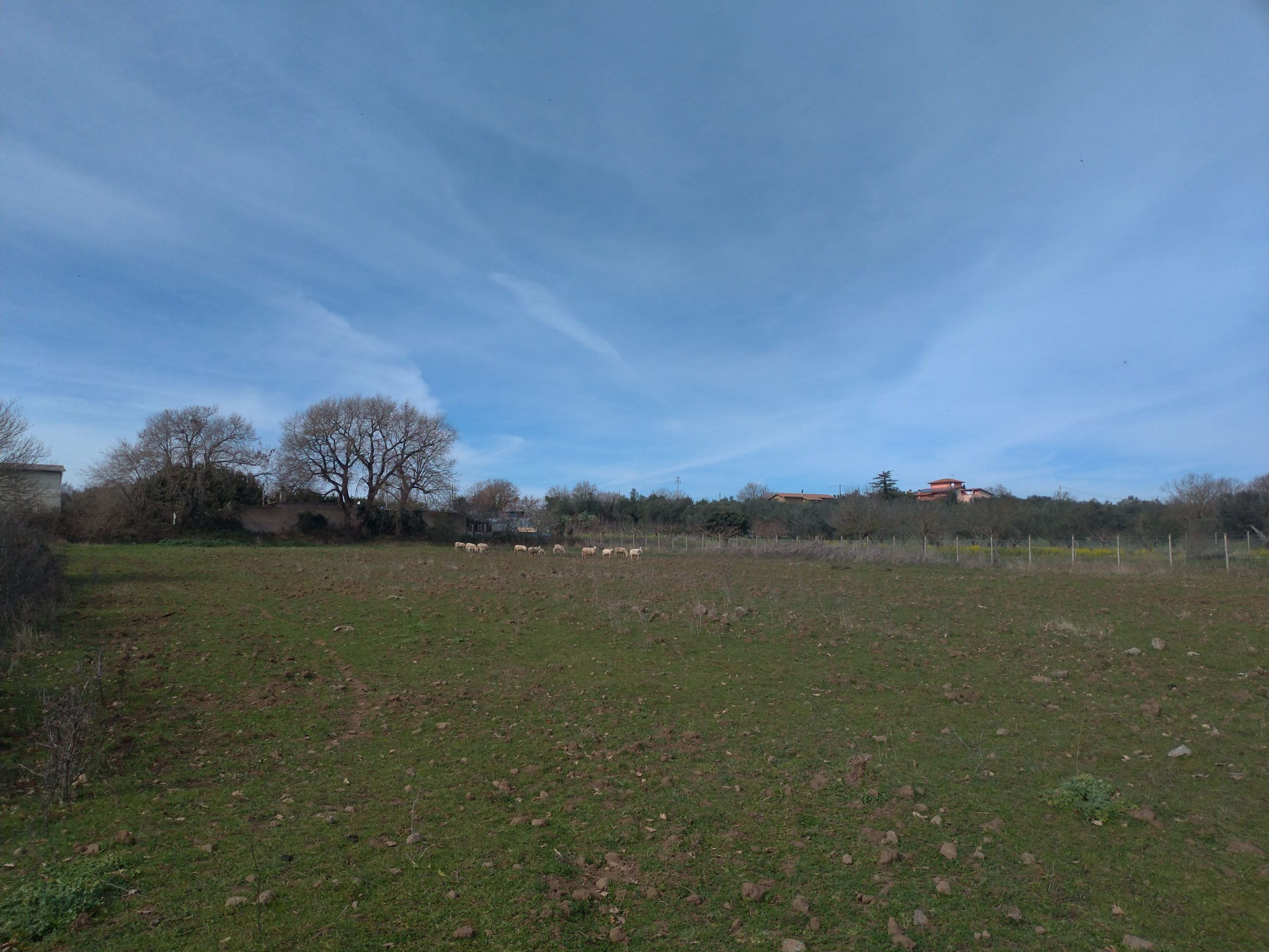 Loc.tà Selva Castalda snc, Tuscania