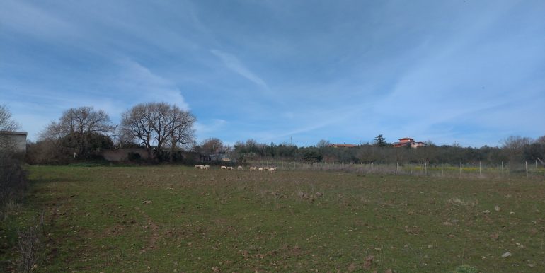 P_20220224_120613_vHDR_Auto