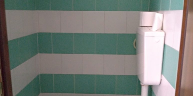 P_20221126_094324_vHDR_Auto