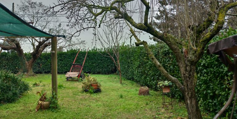 P_20230117_114434_vHDR_Auto_HP