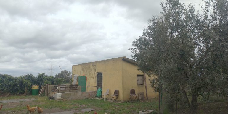 P_20230329_102644_vHDR_Auto