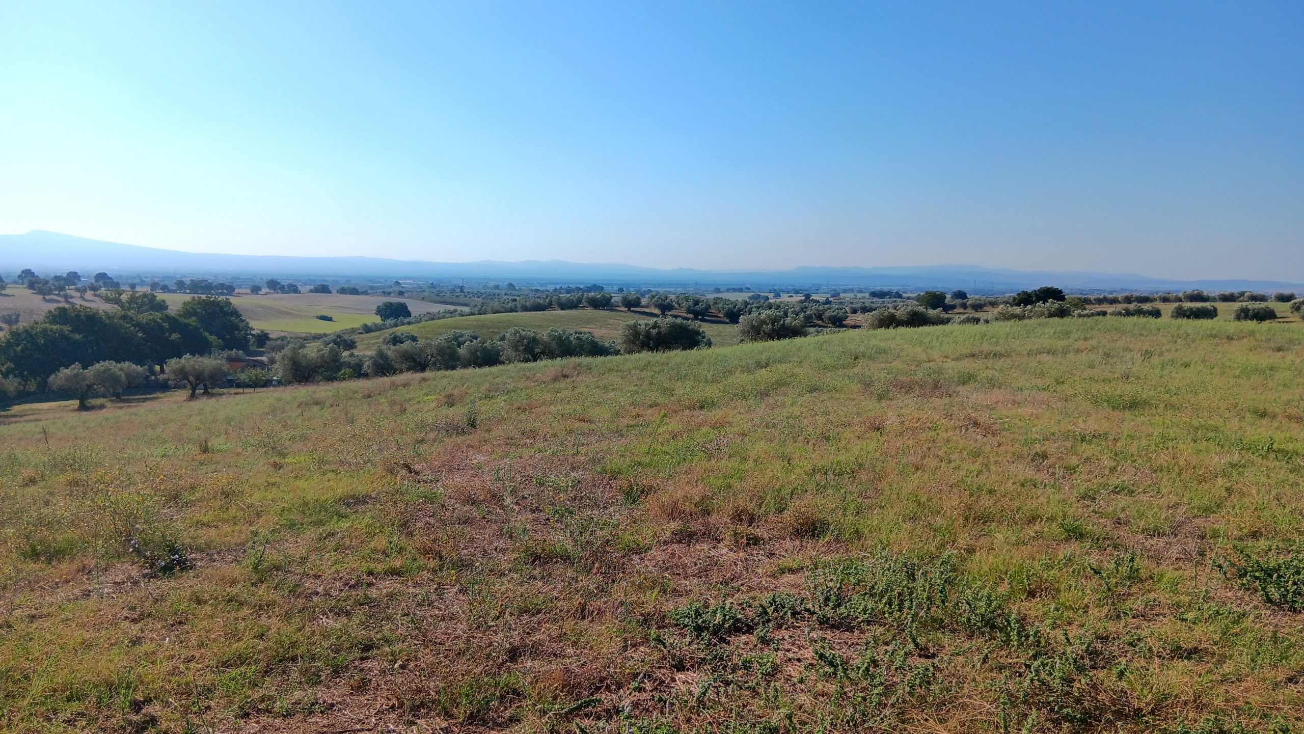 Loc. Le Mandrie, Tuscania